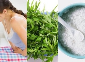 Cập nhật cách chữa rối loạn kinh nguyệt bằng ngải cứu cực kì hiệu quả